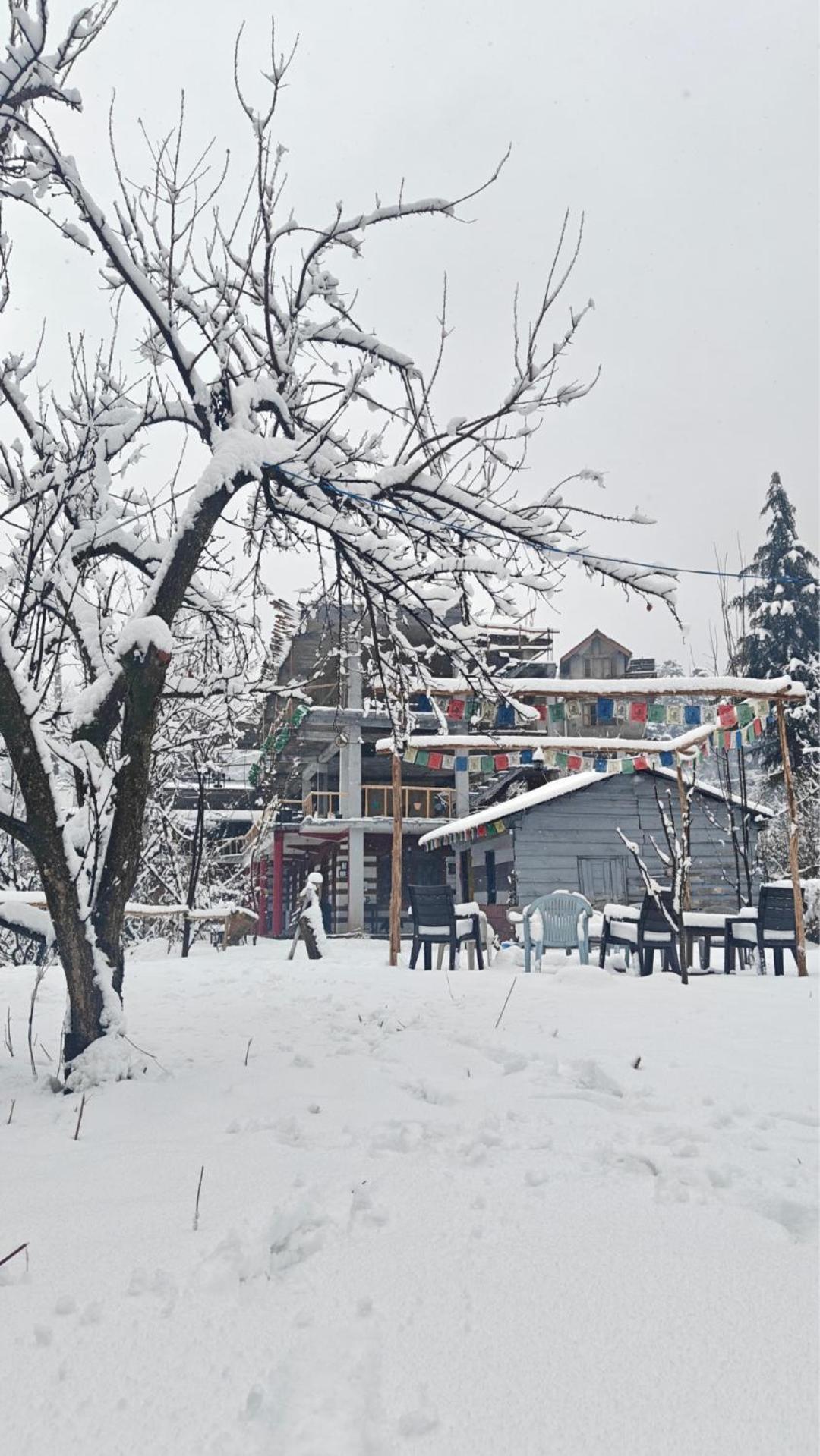 Basecamp Manali Hostel Luaran gambar